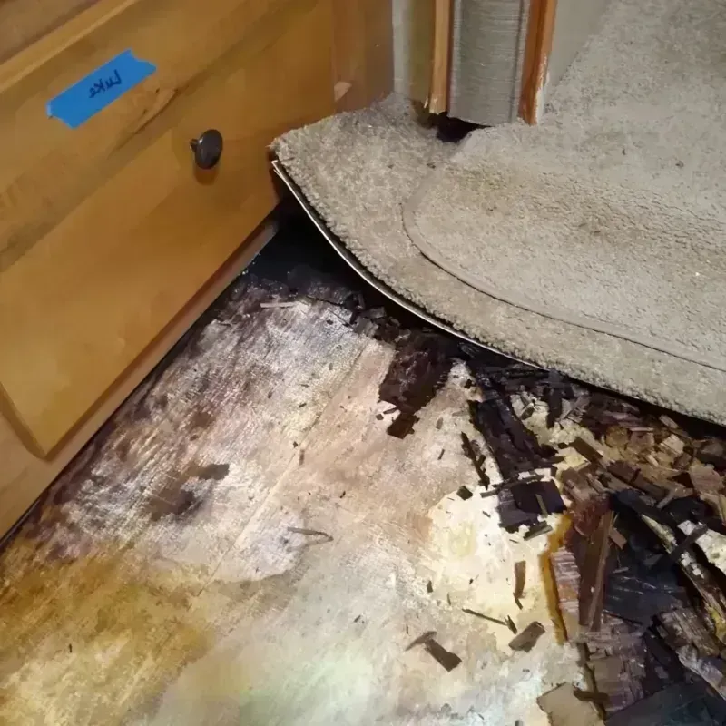 Wood Floor Water Damage in Cleveland, OH